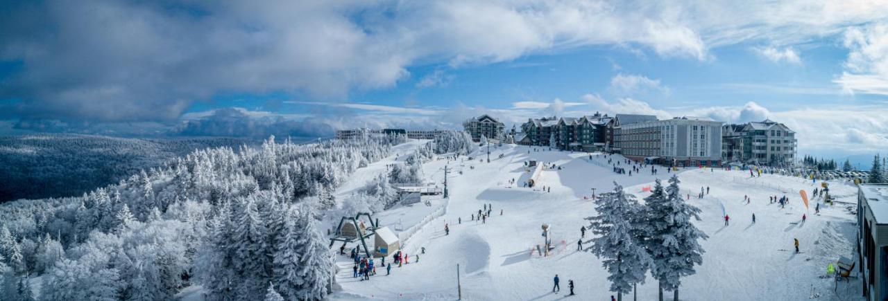 Stroll To Slopes, Village Area, Ski In-Out Mtlodge 333 Сноушу Экстерьер фото